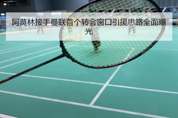 阿莫林接手曼联首个转会窗口引援思路全面曝光